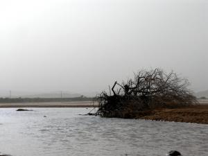 Crue de Oued Mzi (Wilaya de Laghaouat)