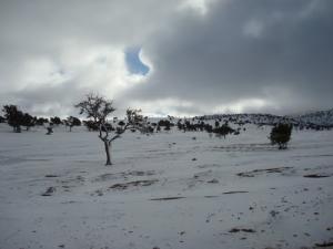 Route de Skhouna sous la Neige