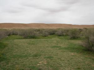 Verdure de la région de Madna