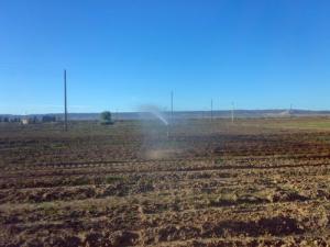 Champ agricole dans les environs de Laghouat