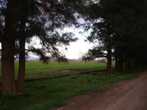 Une ferme de Tadjmout