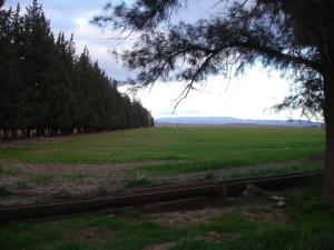 Une Ferme de Tadjmout