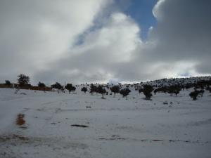 منظر من بلدية سخونة تحت الثلوج