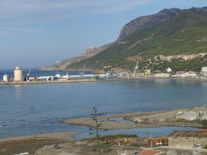 صورة من ميناء مدينة تنس