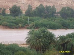 وادي عابر لواحات الأغواط