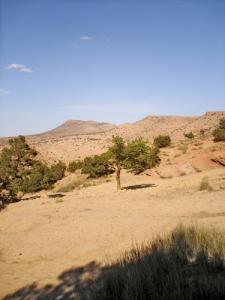 في ضواحي سبڨاق