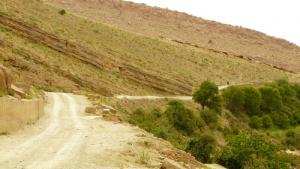 ضواحي بحيرة (ولاية الأغواط)