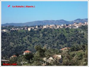 صورة شاملة لقرية طالة