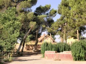 Jardin public d'Aflou