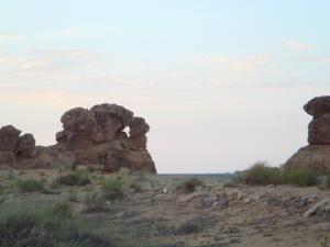 Entre Aflou et Laghouat