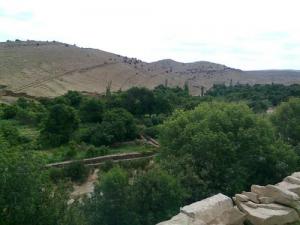 Vue de la forêt d'El Ghicha