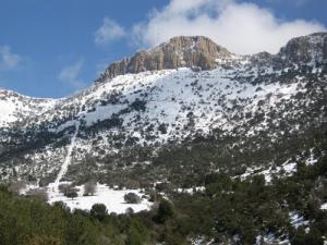 Les Montagnes environnantes de Oum el Bouaghi