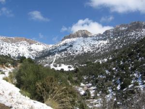 Les Montagnes environnantes de Oum el Bouaghi
