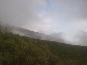Brouillard sur la Forêt de Oum el Bouaghi