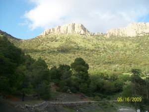 Verdure de Sidi Rghiss