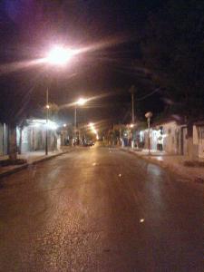 غابة أم البواڨي تحت الضباب