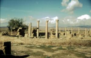 Colonnes Romaines à Timgad