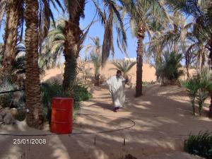 واحة من بلدية أغلاد