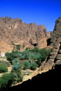 الواحات المحيطة بمدينة جانت