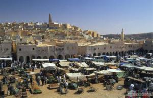 صورة شاملة للسوق المحلي