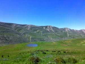 Verdure de Batna au Printemps