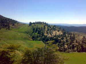 La Beauté de Batna au Printemps