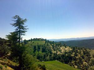 La Beauté de Batna au Printemps