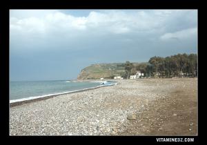 صورة من شاطئ الملح