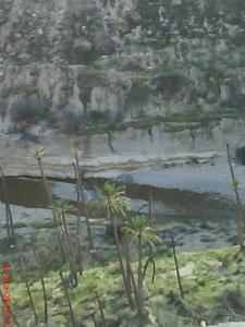 les Balcons de Rhoufi