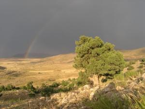 Arc en ciel sur les prairies de Batna