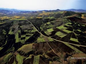 الحقول الخضراء ببلدية ثنية الحد