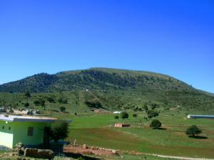 Verdure de la commune de Ichmoul Batna Aurès