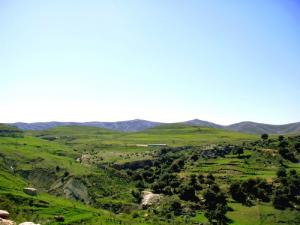 Verdure de la commune de Ichmoul à Batna
