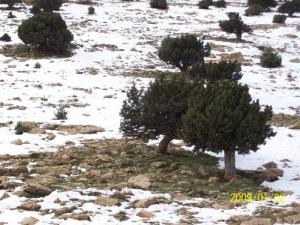 LA périphérie de Batna sous la neige