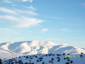 LA périphérie de Batna sous la neige