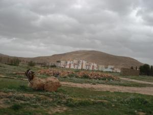 Extension du tissu urbain dans la périphérie de Batna