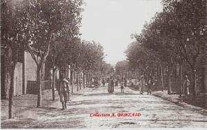 Sur  la  route de Sétif (actuel boulevard du 1er novembre 1954)