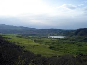 Verdure printanière dans la commune de Oued Taga