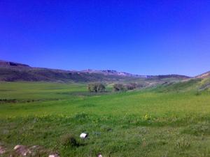 Verdure de la commune de Oued Taga à Batna