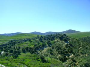 La commune de Ichmoul au printemps à Batna