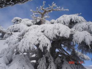 La commune de Ichemoul en hiver