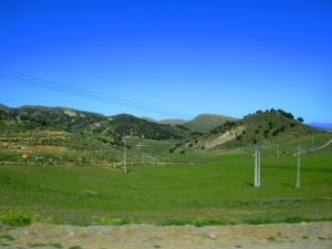 Verdure de la commune de Ichmoul à Batna