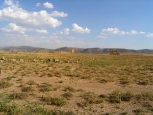 Arche Romaine dans la périphérie de Batna