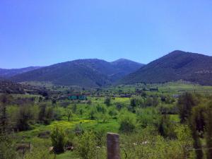 La verdure à perte de vue dans la périphérie de Batna