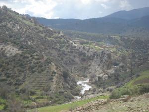 Une montagne dans la périphérie de Batna