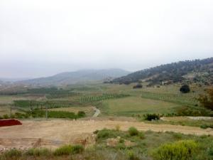 Champs agricoles de la commune de Tibikaouine