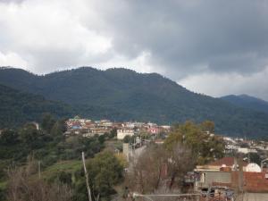 منظر شامل لمدينة  واد الزهور