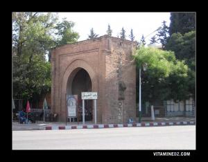 صورة من باب الخميس