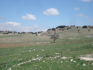 Sol Gypso-Calcaire dans la périphérie de Batna