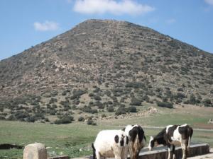 Ain ali culminant à1518.00m